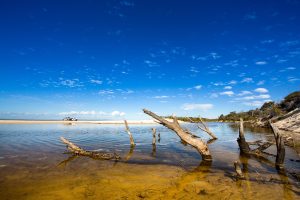 Bribie-Beach-Fresh-Lakes-4WD-in-Background-IMAGE-CREDIT-Visit-Moreton-Bay-Region-OR-Moreton-Bay-Region-Industry-and-Tourism