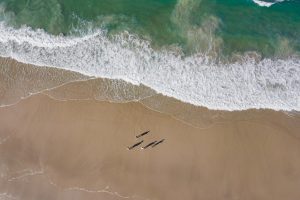 Bribie-Island-Beach-Fun-IMAGE-CREDIT-Visit-Moreton-Bay-Region-OR-Moreton-Bay-Region-Industry-and-Tourism